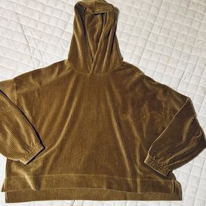 Aerie “Groove On” Velour Hoodie in Dark Green/Brown